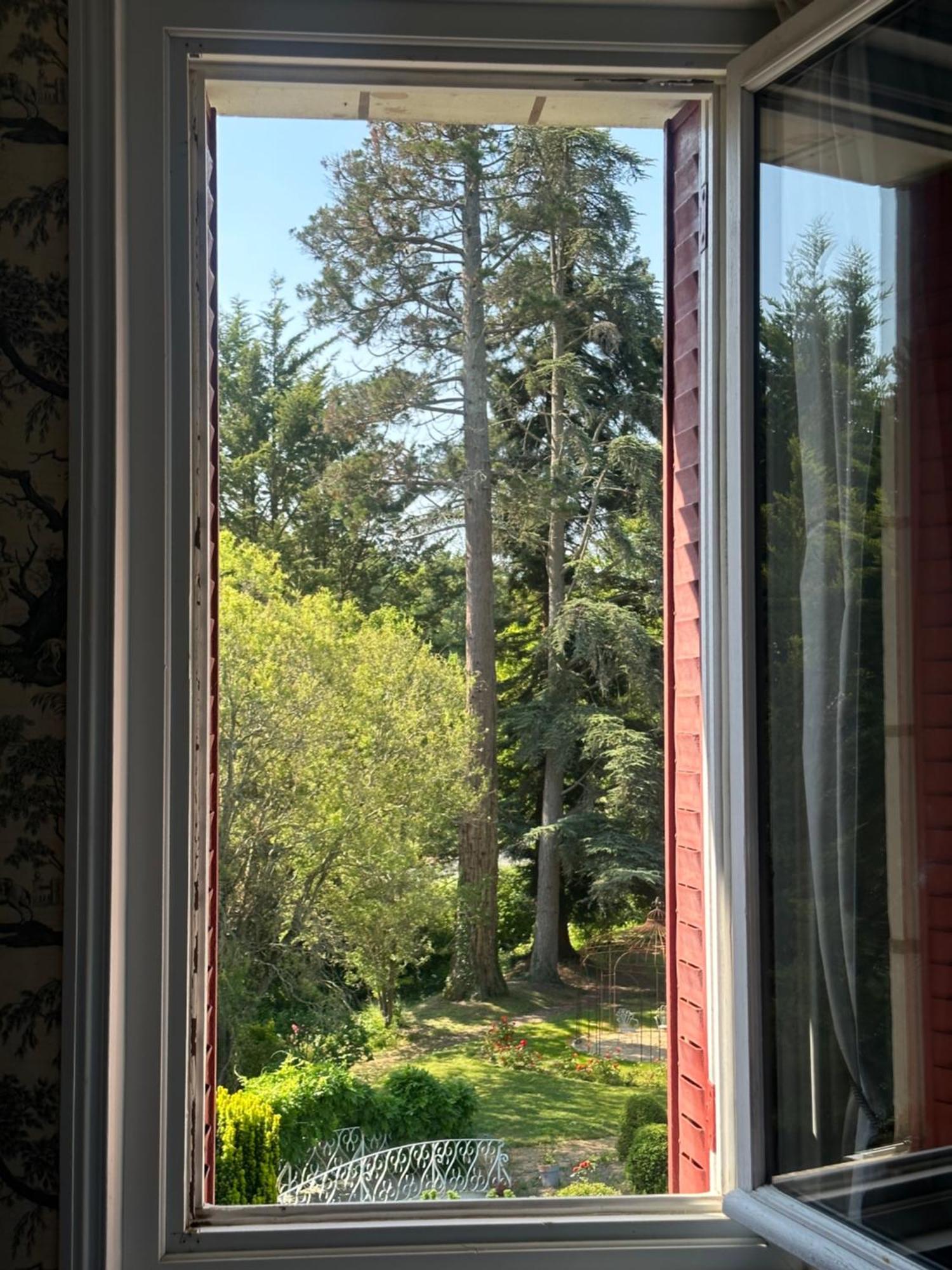 Bed and Breakfast Le Moulin De Francueil Экстерьер фото